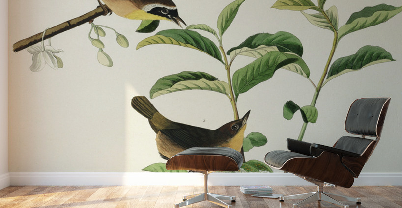 Wandering Shearwater Wall Murals