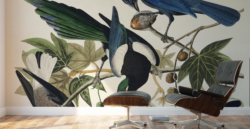 Yellow-Billed Magpie Stellers Jay Ultramarine Jay and Clarks Crow Wall Murals