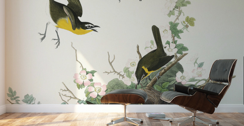 Yellow-breasted Chat Wall Murals