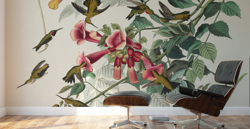 Ruby-throated Humming Bird Wall Murals