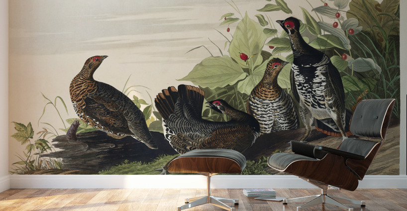 Spotted Grouse Wall Murals