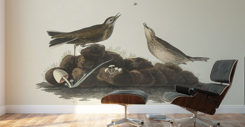 Brown Lark Wall Murals