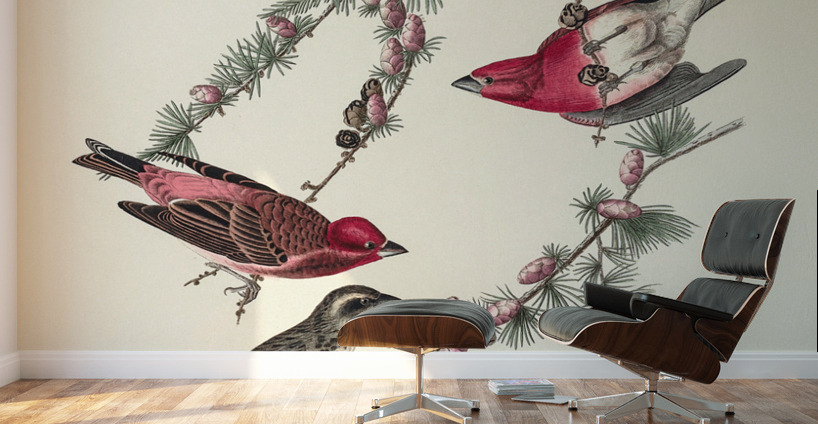 Purple Finch Wall Murals