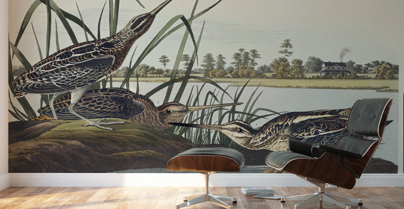 American Snipe Wall Murals