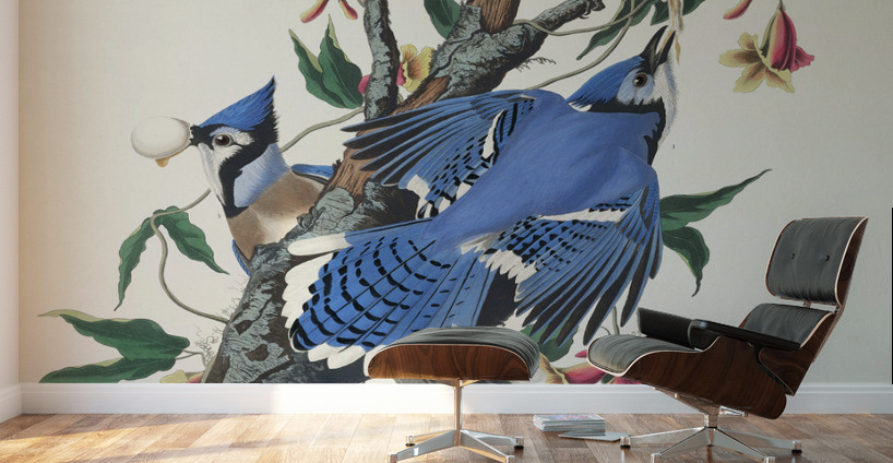 Blue Jay Wall Murals