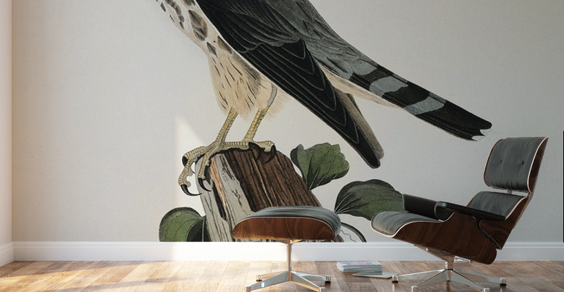 Le Petit Caporal Wall Murals