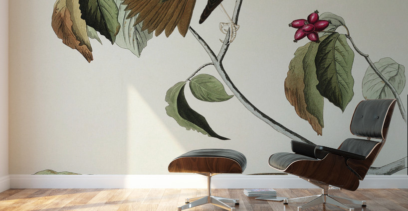 Wood Thrush Wall Murals