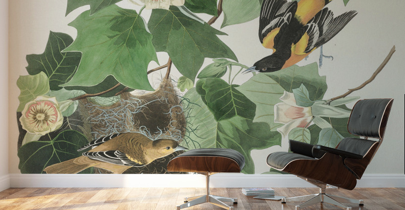 Baltimore Oriole Wall Murals