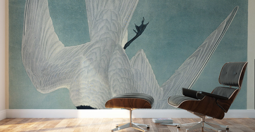 Lenaida Dove Wall Murals