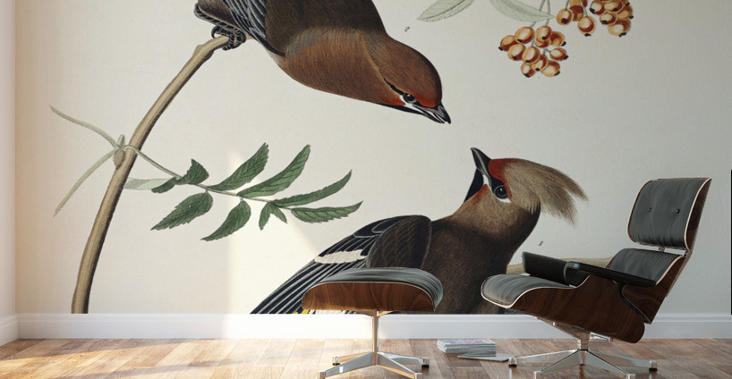 Rusty Grakle Wall Murals