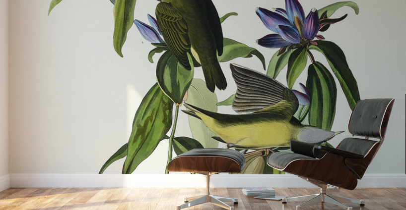 Connecticut Warbler Wall Murals