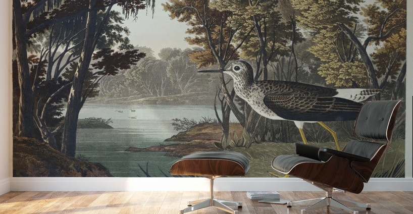 Yellow Shank Wall Murals