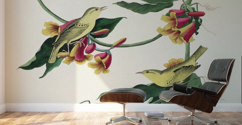 Rathbone Warbler Wall Murals