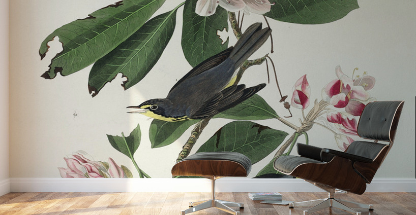 Canada Warbler Wall Murals