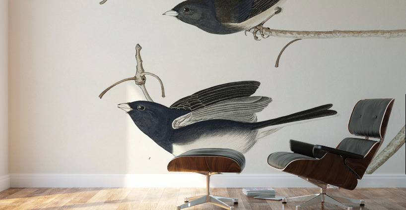 Snow Bird Wall Murals