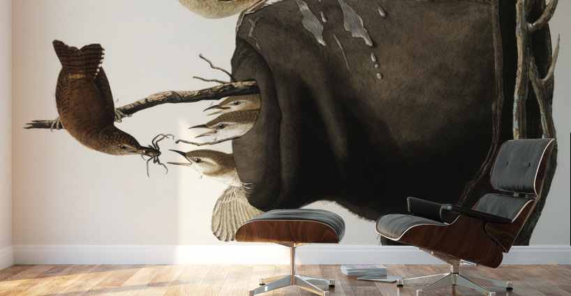 House Wren Wall Murals