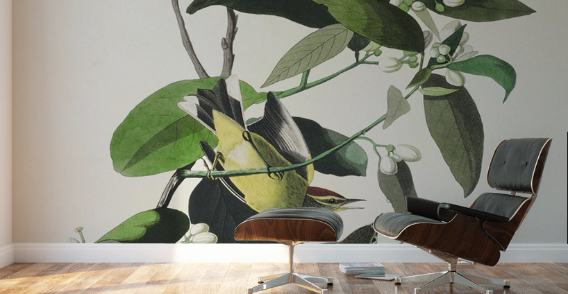 Palm Warbler Wall Murals
