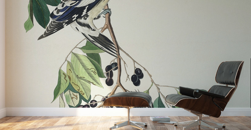 Yellow bellied Woodpecker Wall Murals