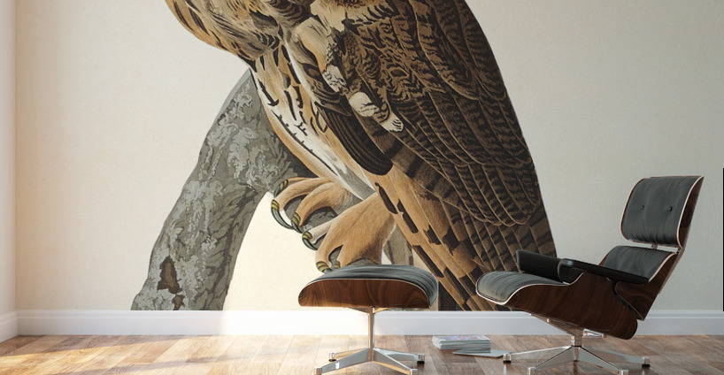 Long-eared Owl Wall Murals