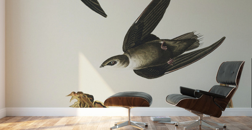 American Swift Wall Murals