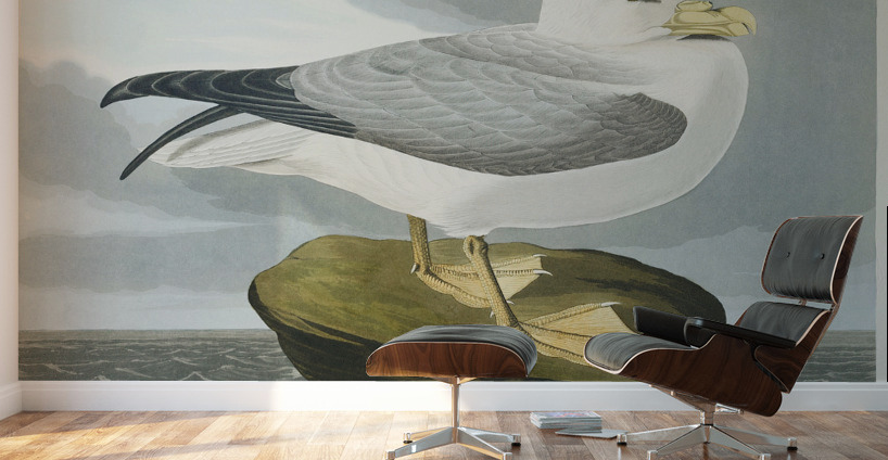 Fulmar Petrel Wall Murals