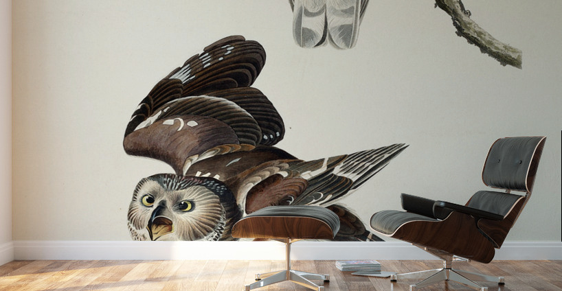 Little Owl Wall Murals