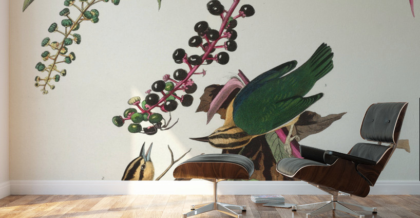 Worm eating Warbler Wall Murals