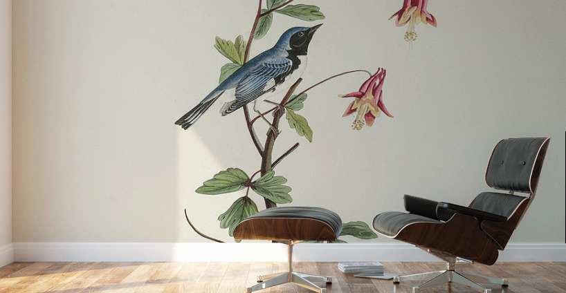 Black-throated Blue Warbler Wall Murals