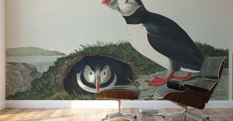 Puffin Wall Murals