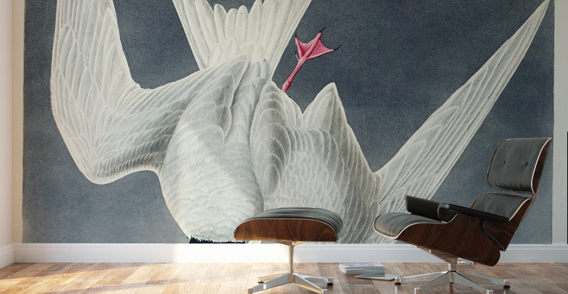 Great Tern Wall Murals