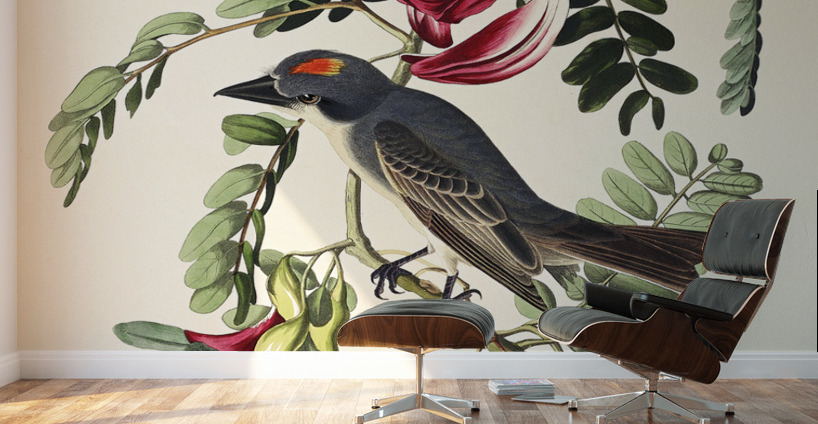 Piping Flycatcher Wall Murals