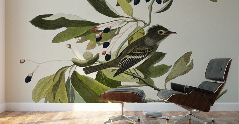 Small Green Crested Flycatcher Wall Murals