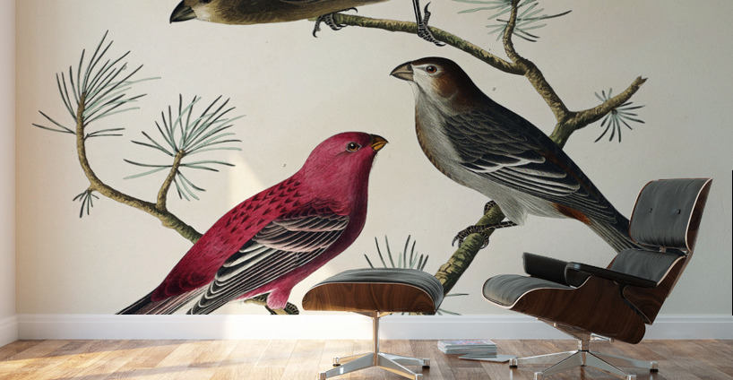 Pine Grosbeak Wall Murals