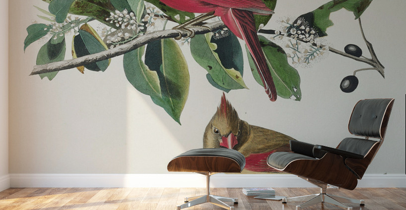 Cardinal Grosbeak Wall Murals