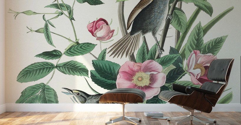 Seaside Finch Wall Murals
