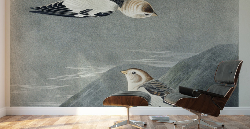 Snow Bunting Wall Murals