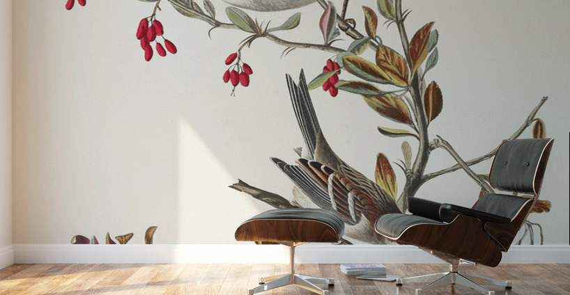 Tree Sparrow Wall Murals
