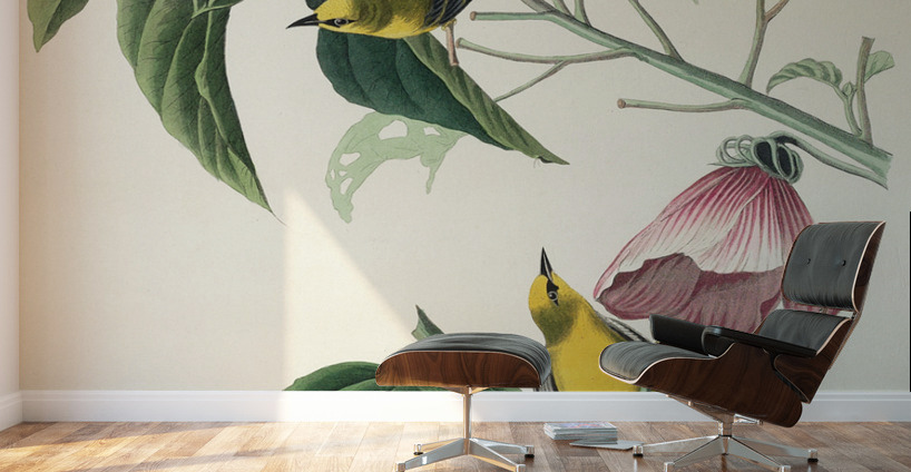 Blue-winged Yellow Warbler Wall Murals