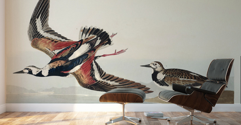 Turn-stone Wall Murals