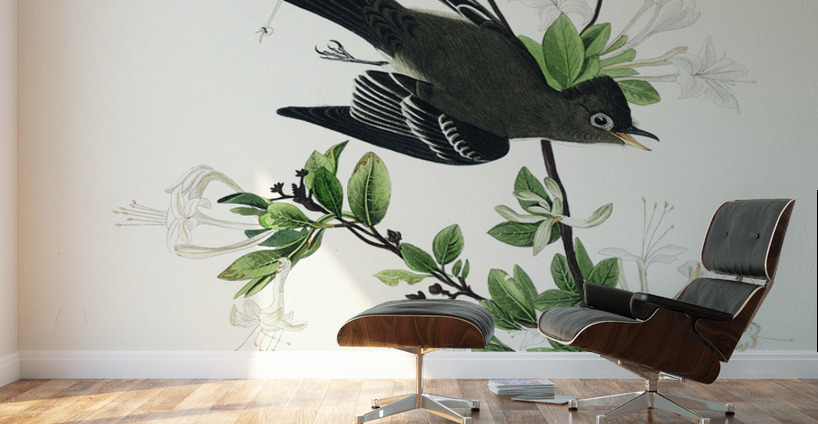 Wood Pewee Wall Murals