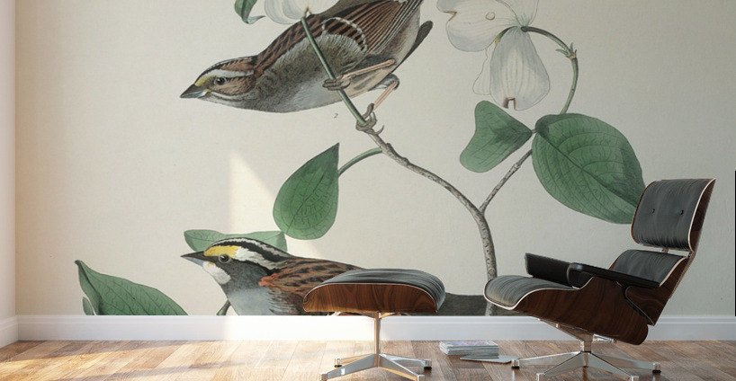 Sanderling Wall Murals