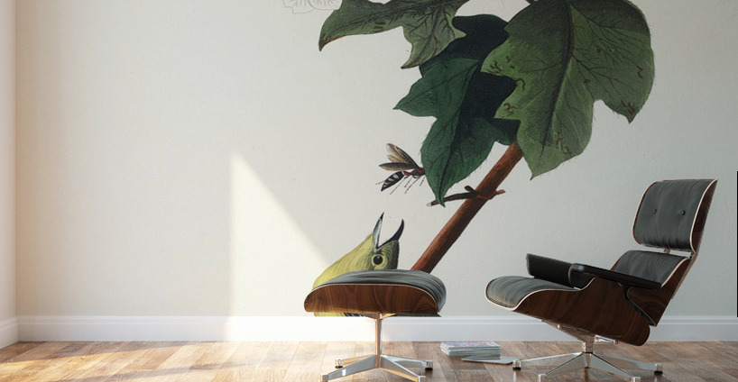 Yellow-throated Vireo Wall Murals