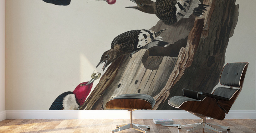 Red-headed Woodpecker Wall Murals