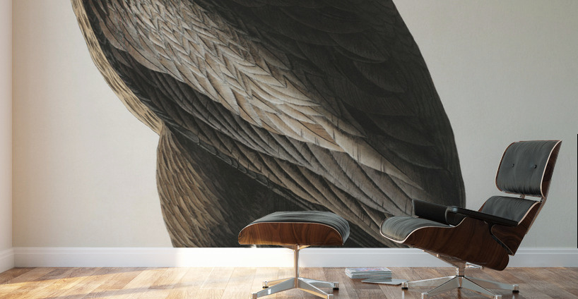 The Bird of Washington or Great American Sea Eagle Wall Murals