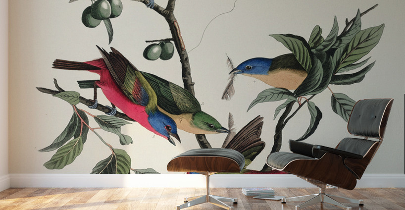 Painted Finch Wall Murals