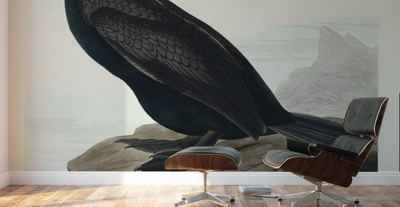 Double-crested Cormorant Wall Murals