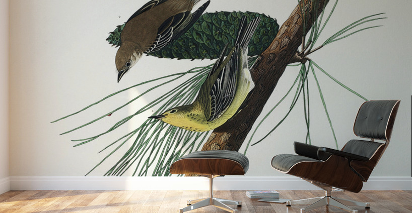 Pine Creeping Warbler Wall Murals