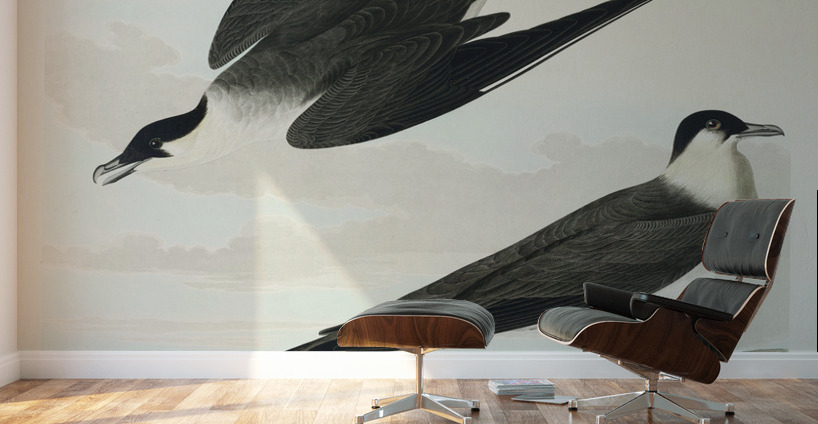 Arctic Yager Wall Murals
