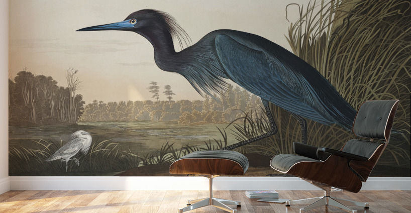 Blue Crane or Heron Wall Murals