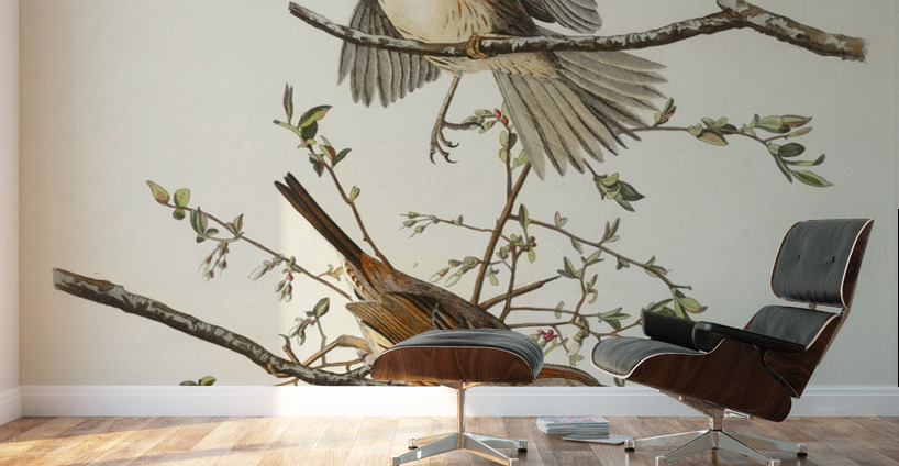Song Sparrow Wall Murals